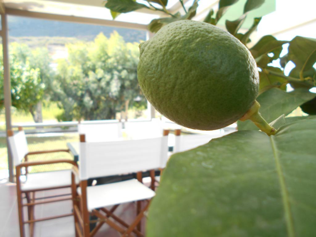 Art Sailing Apartment Vasiliki  Exterior photo